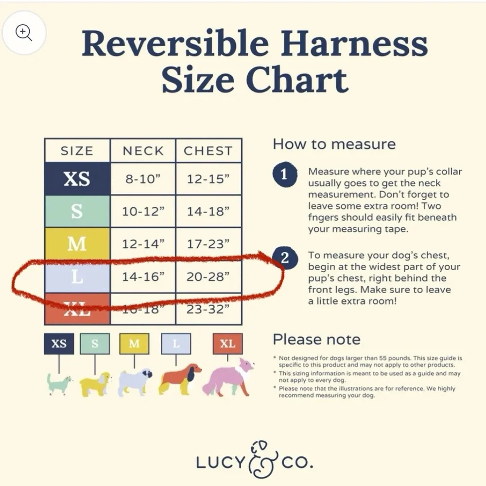 Lucy & Co lucy co